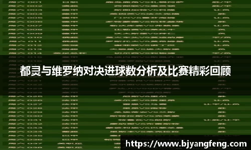 都灵与维罗纳对决进球数分析及比赛精彩回顾